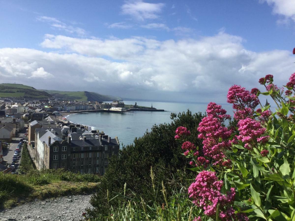 Guest house Cardigan Bay Self Catering 3*